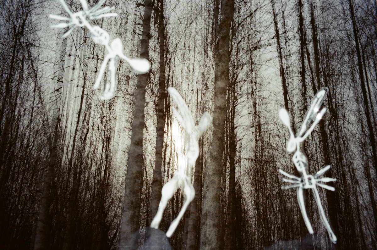 Foto