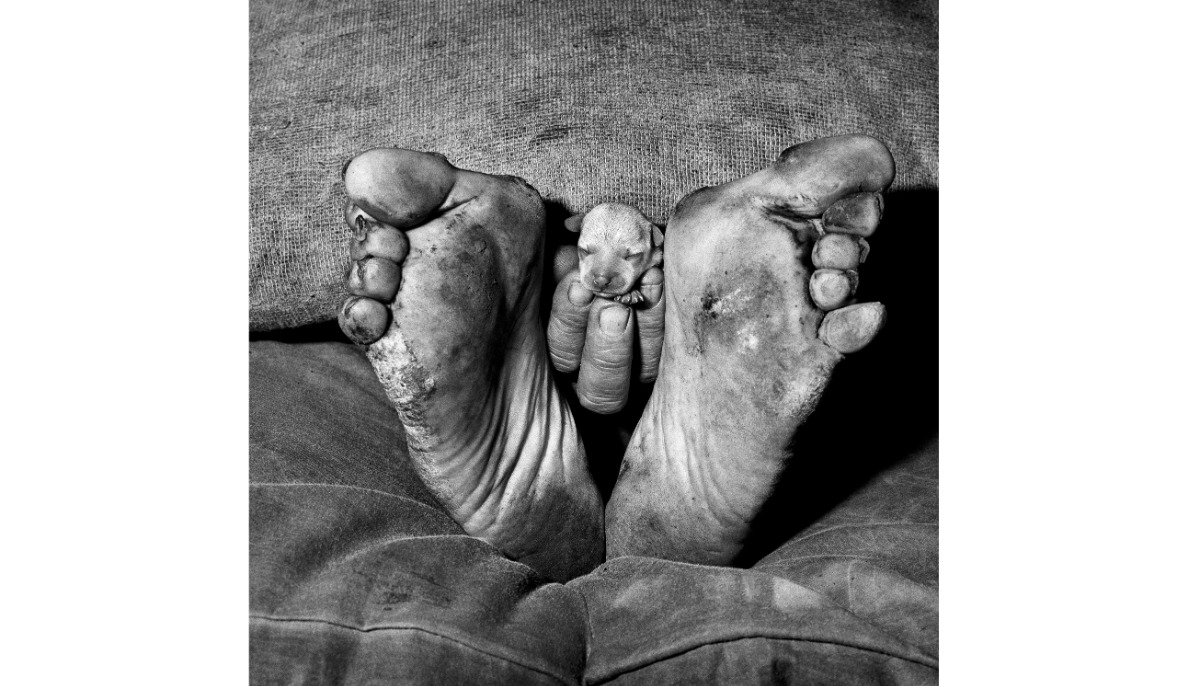 Foto