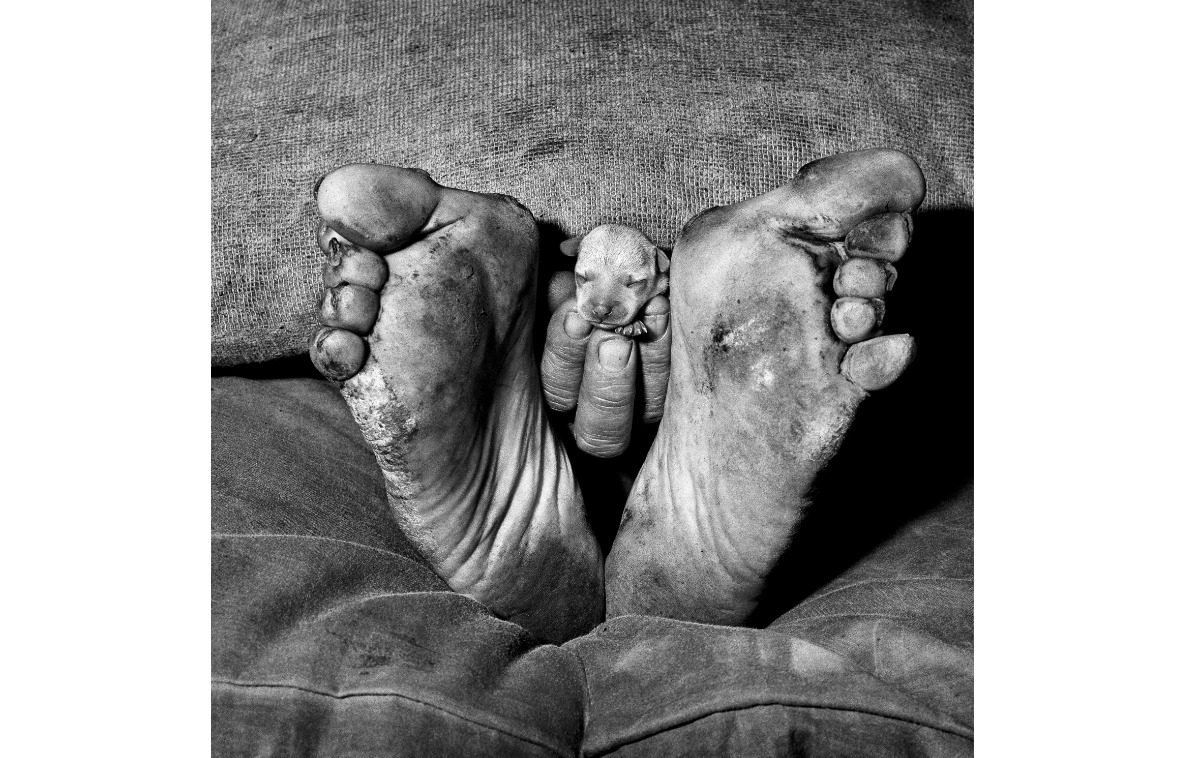 Foto